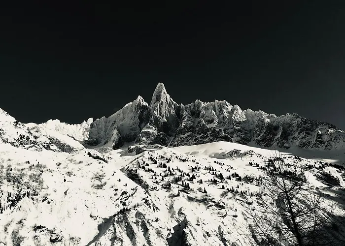 Le Petit Cham Appartement *