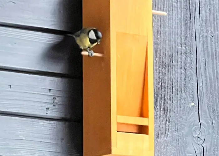 Le Petit Cham Appartement *